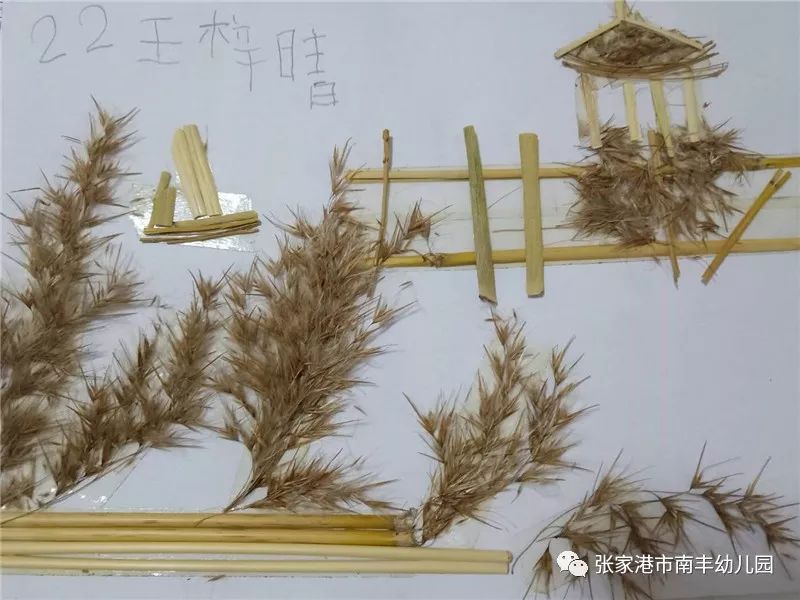 芦苇可以做哪些工艺品(芦苇可以做哪些工艺品图片)